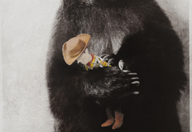 M_gregory_maiofis_toy_story_2012_yupo_paper_bromoil_101x69_cm