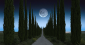 Alley_10